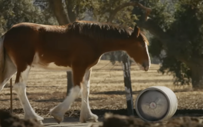 AdWatch: BUDWEISER | First Delivery